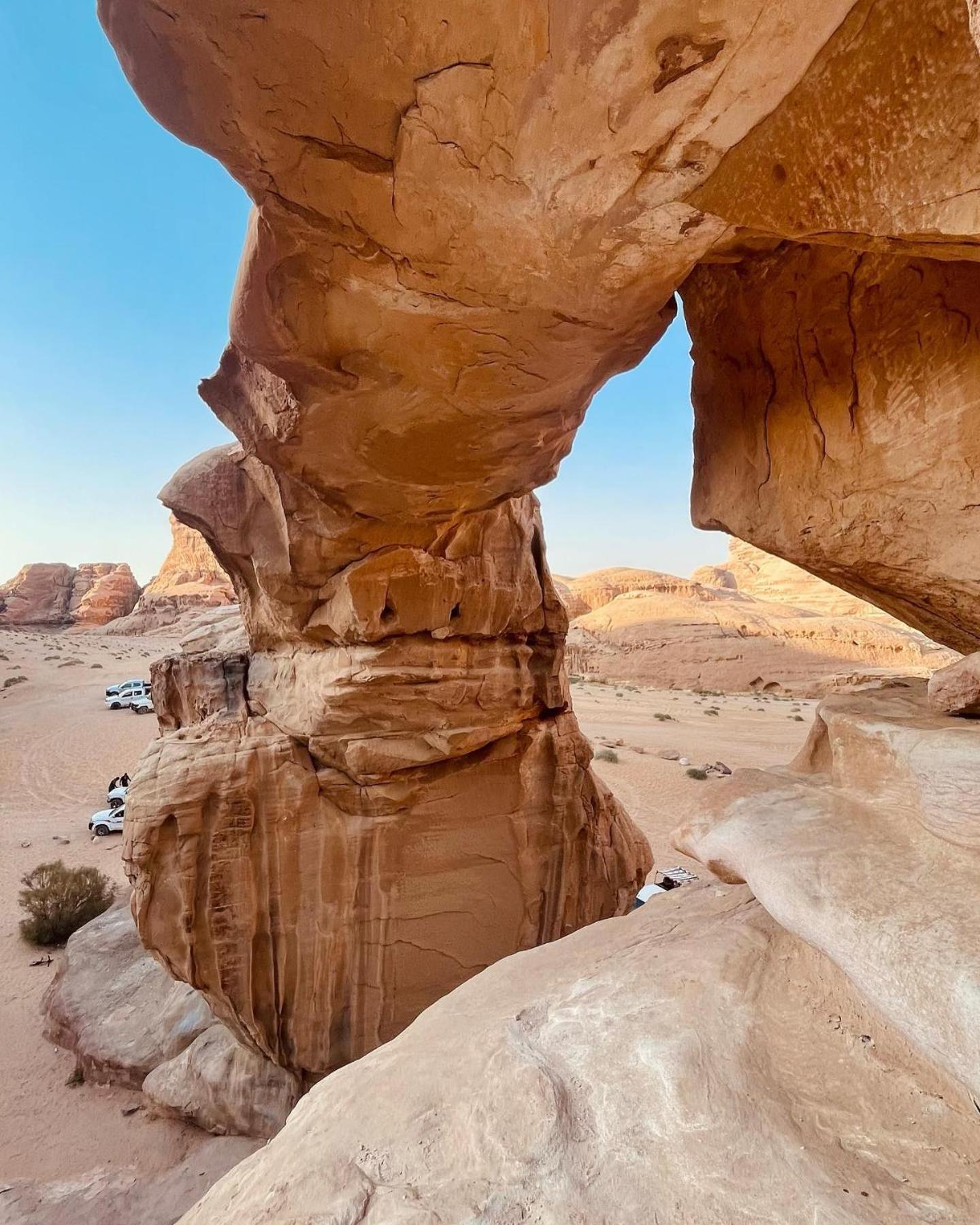 Flower Life Camp Wadi Rum Exteriér fotografie