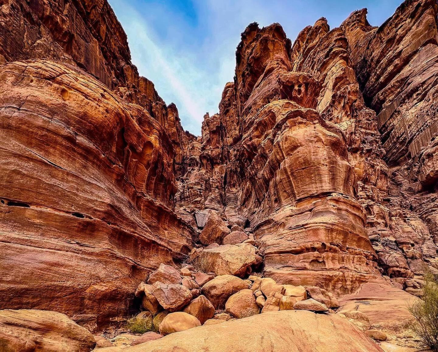 Flower Life Camp Wadi Rum Exteriér fotografie